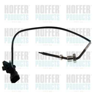 Sensor, exhaust gas temperature (7452751)