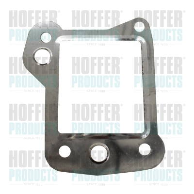 Gasket, EGR valve (016133)