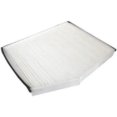 Filter, cabin air (17555)