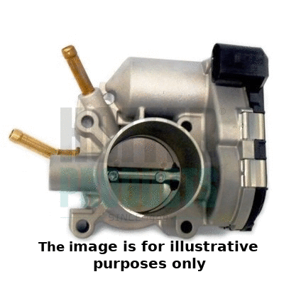 Throttle Body (7519242R)