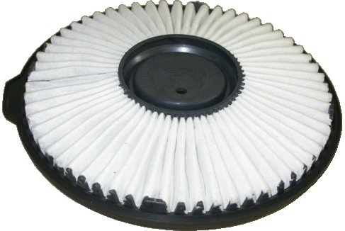 Air Filter (18045)