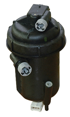 Fuel Filter (4916)