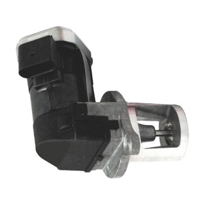 EGR Valve (7518204)