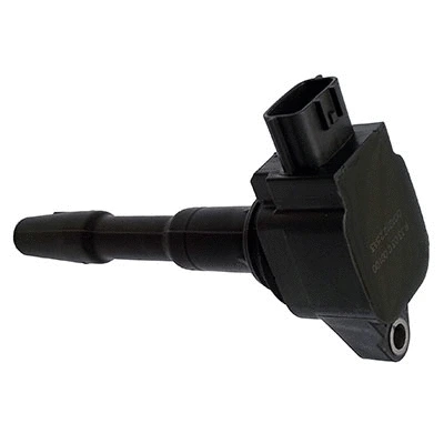 Ignition Coil (8010713)