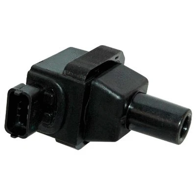 Ignition Coil (8010736)