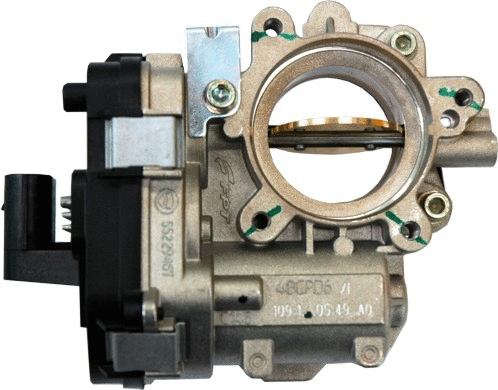 Throttle Body (7519084)