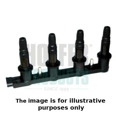 Ignition Coil (8010758E)