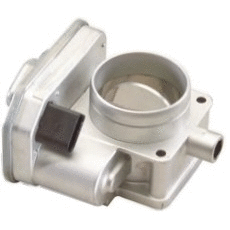 Throttle Body (7519038E)