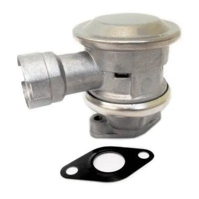 Valve, secondary air system (8029646)