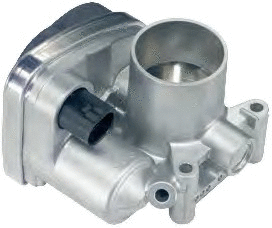 Throttle Body (7519043)