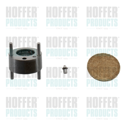 Repair Kit, injection nozzle (80298496)