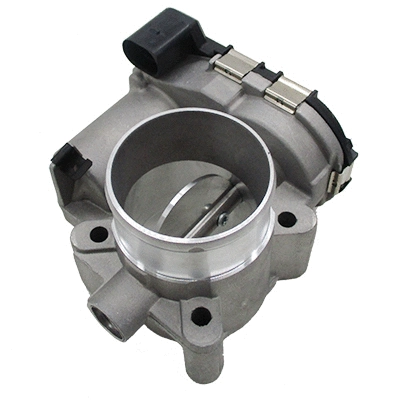 Throttle Body (7519286)