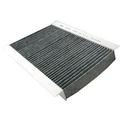Filter, cabin air (17117K)