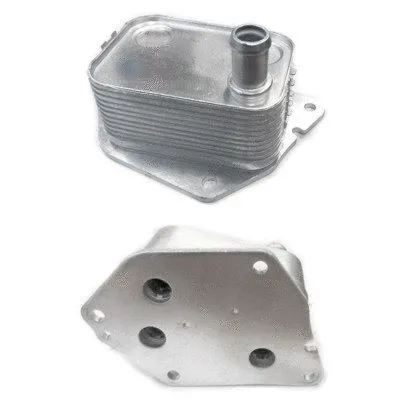 Oil Cooler, engine oil (8095057)