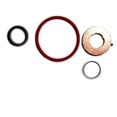 Repair Kit, injection nozzle (9569)