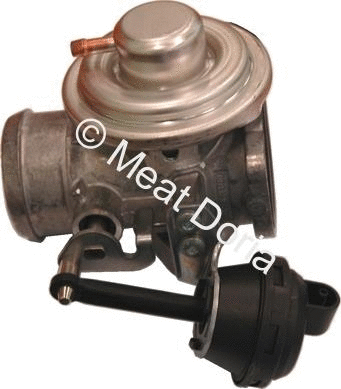 EGR Valve (7518070)
