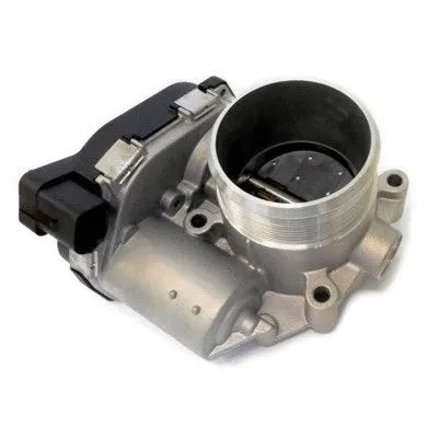 Throttle Body (7519052)
