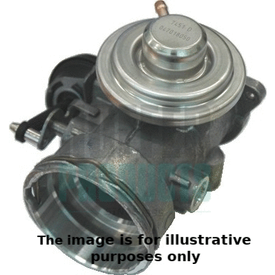 EGR Valve (7518119E)