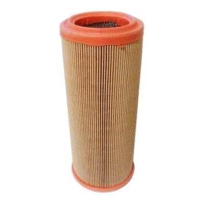 Air Filter (16075)