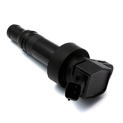 Ignition Coil (8010627)