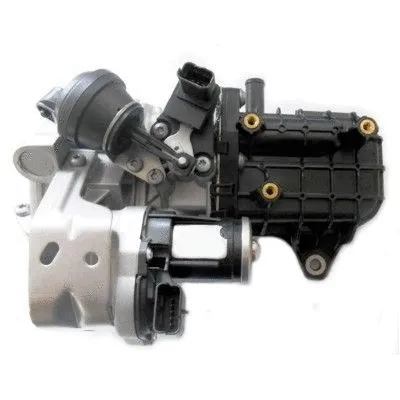EGR Valve (7518395)