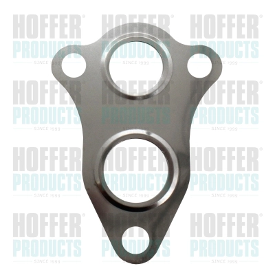 Gasket, EGR valve (016124)
