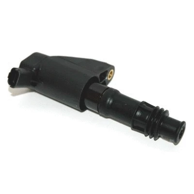 Ignition Coil (8010418)