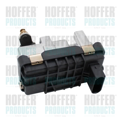 Boost Pressure Control Valve (6200099E)