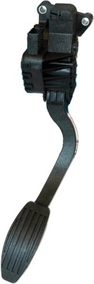Accelerator Pedal Unit (7513514)