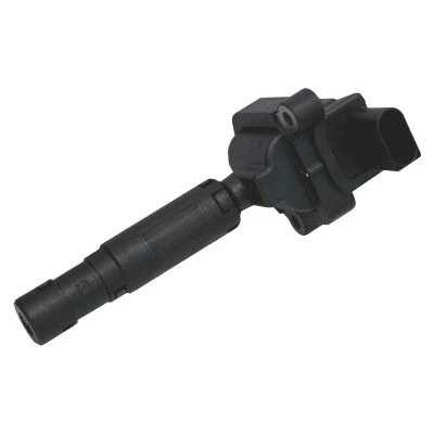 Ignition Coil (8010661)