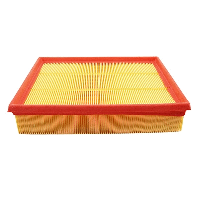 Air Filter (16569)