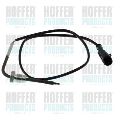 Sensor, exhaust gas temperature (7452749)