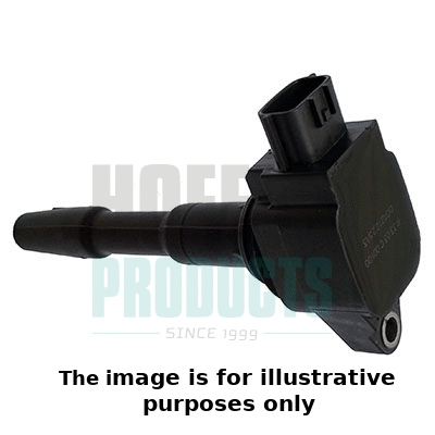 Ignition Coil (8010713E)
