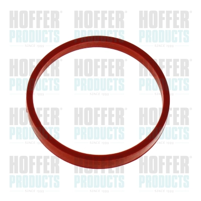 Gasket, intake manifold (016250)