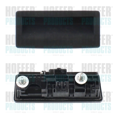 Exterior Door Handle (H206117)