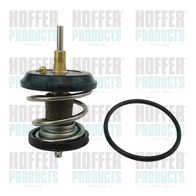 Thermostat, coolant (8192616)