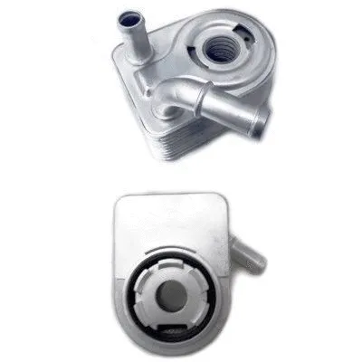 Oil Cooler, engine oil (8095093)