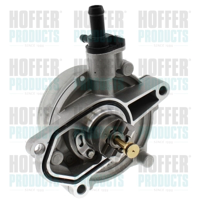 Vacuum Pump, braking system (8091239)
