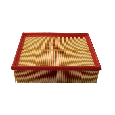 Air Filter (16555)