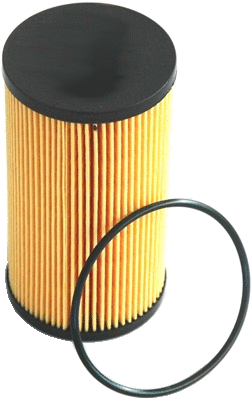 Oil Filter (14079)
