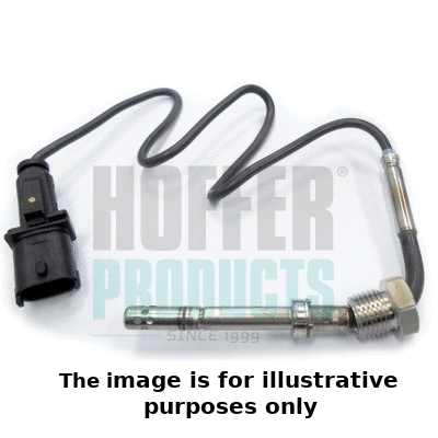 Sensor, exhaust gas temperature (7451986E)