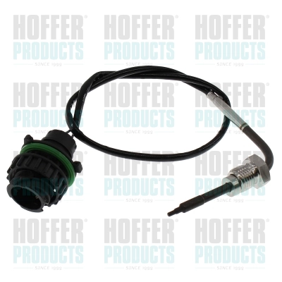 Sensor, exhaust gas temperature (7452710)