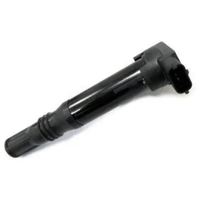 Ignition Coil (8010766)