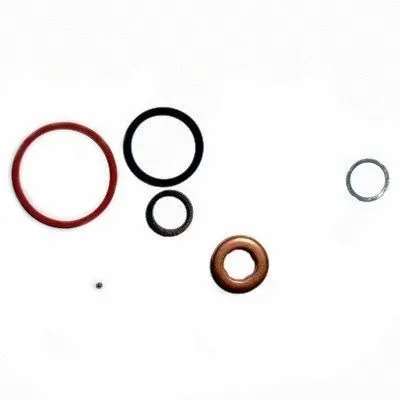 Repair Kit, injection nozzle (9568)
