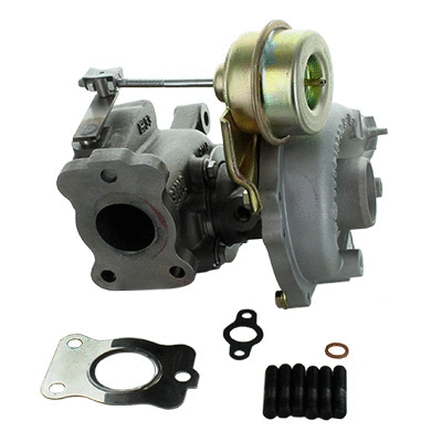 Charger, charging (supercharged/turbocharged) (6900198)