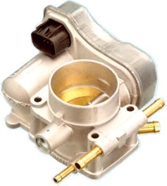 Throttle Body (7519032)