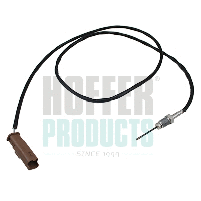 Sensor, exhaust gas temperature (7452285E)