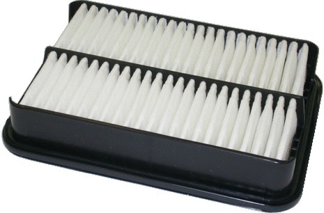 Air Filter (16012)