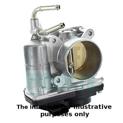 Throttle Body (7519326R)