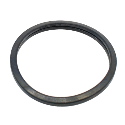 Seal, thermostat (016100)